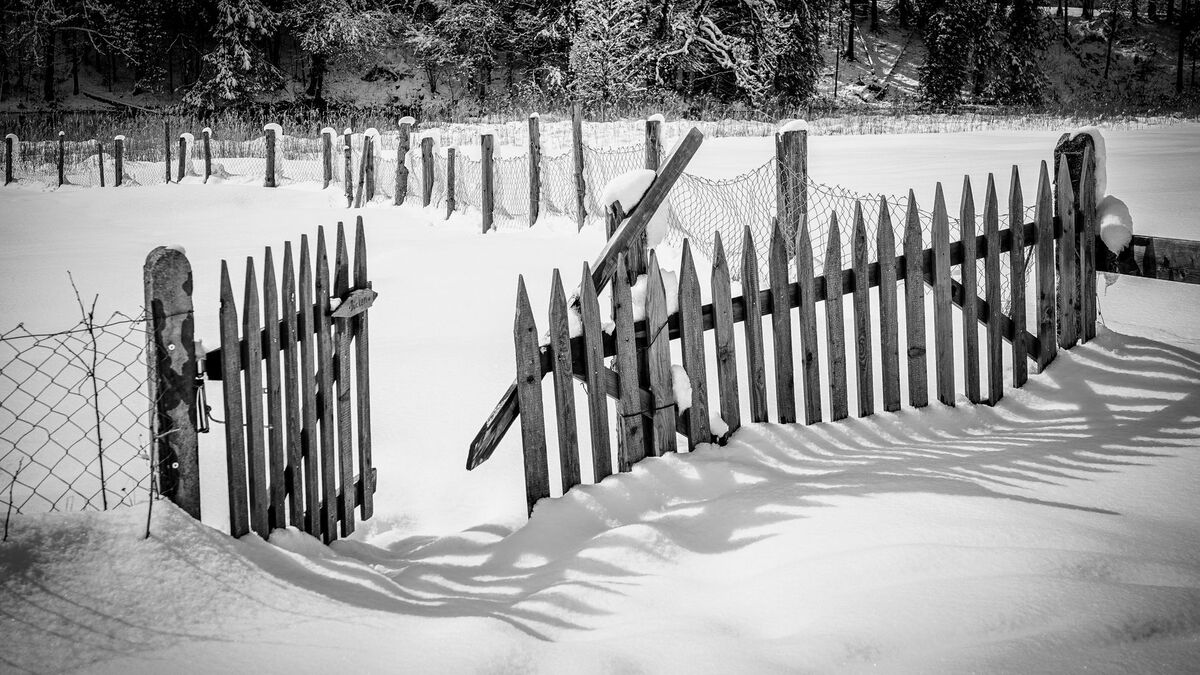 A broken wooden picket fence leaning and collapsing in deep snow, in black and white