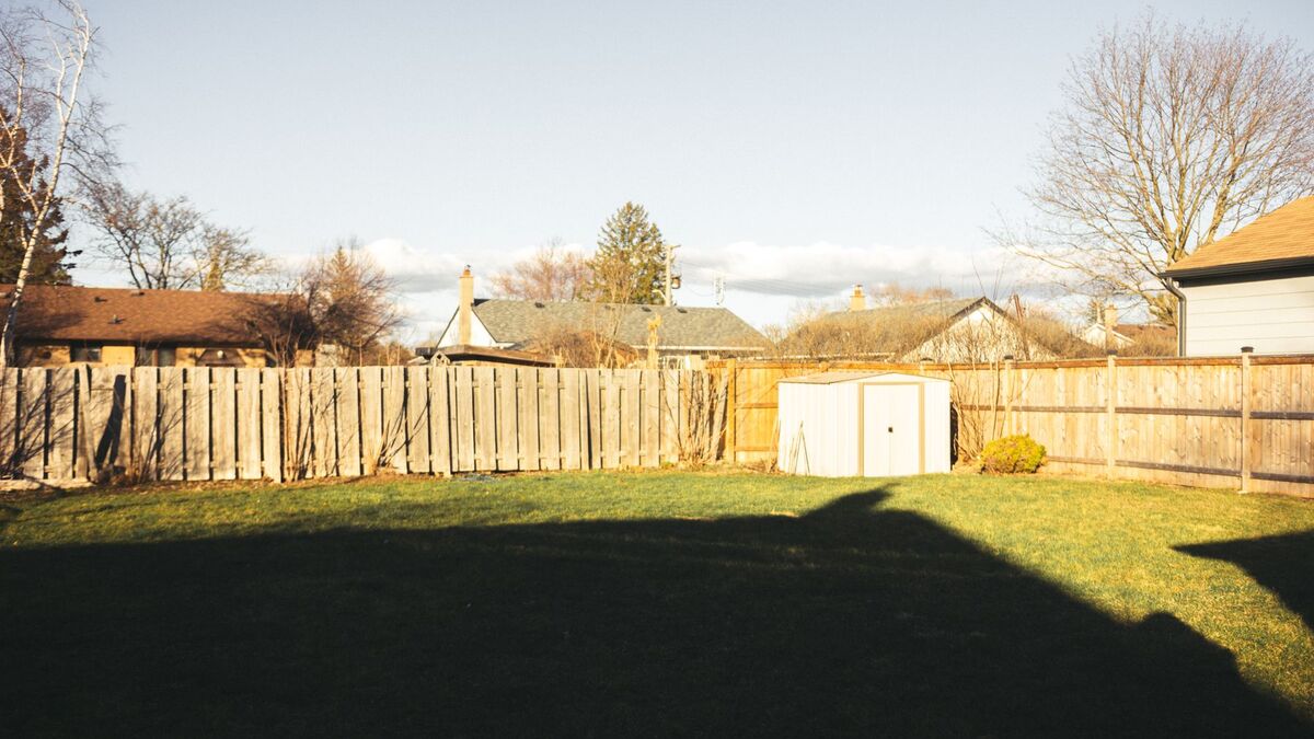 A sunny backyard lawn enclosed by a weathered wood privacy fence, with a small shed and neighboring rooftops beyond